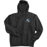 Pittsburgh Huskies Super Heavyweight Fleece Hoodie