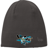 Boca Barracudas New Era Knit Beanie