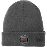 Hazel Park Bears New Era Speckled Beanie